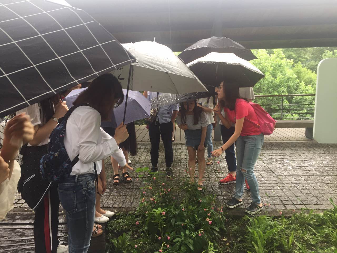 艺术设计系风景园林专业学生风貌